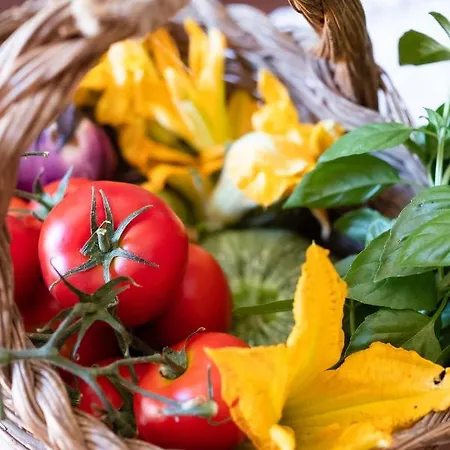 I Grappoli Lejlighed *